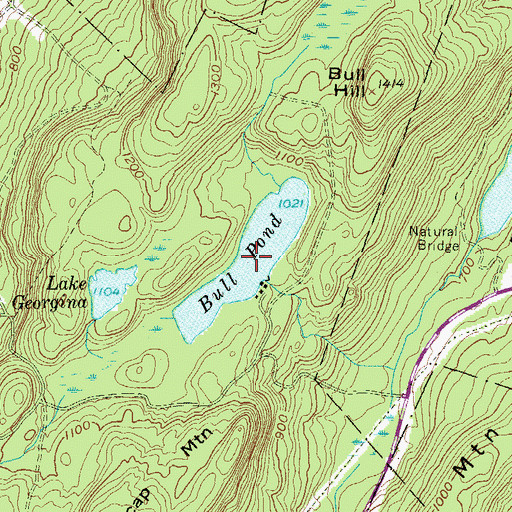 Topographic Map of Bull Pond, NY