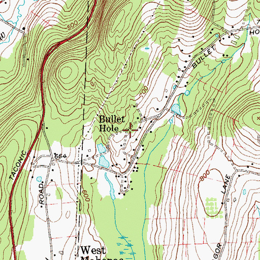 Topographic Map of Bullet Hole, NY