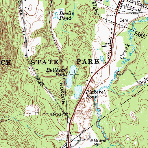 Topographic Map of Bullhead Pond, NY