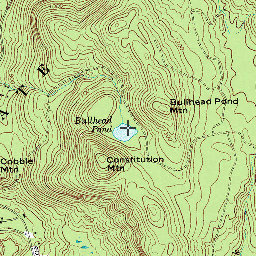 Topographic Map of Bullhead Pond, NY
