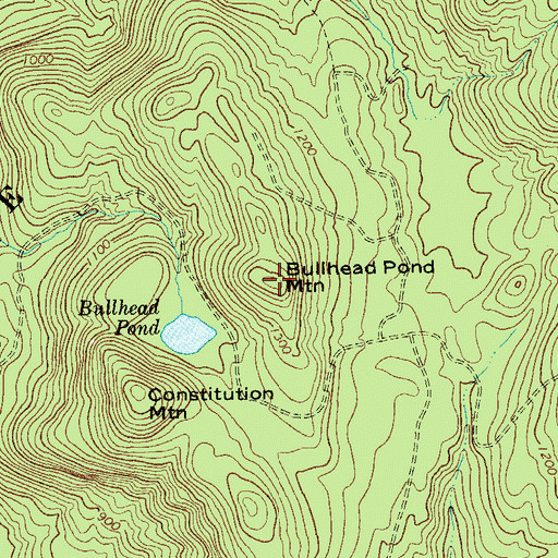 Topographic Map of Bullhead Pond Mountain, NY