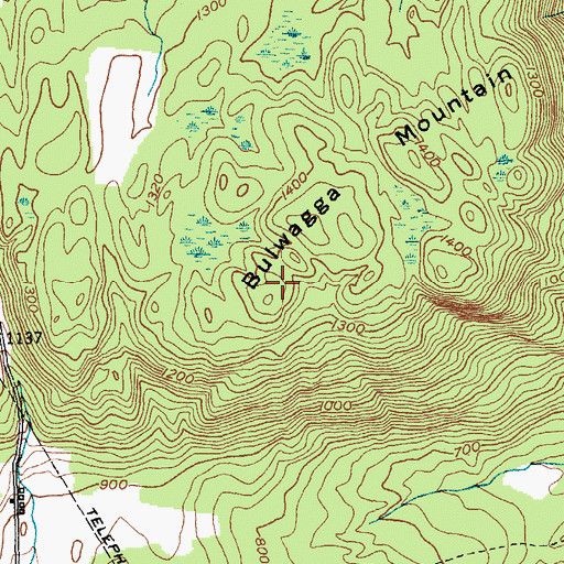 Topographic Map of Bulwagga Mountain, NY