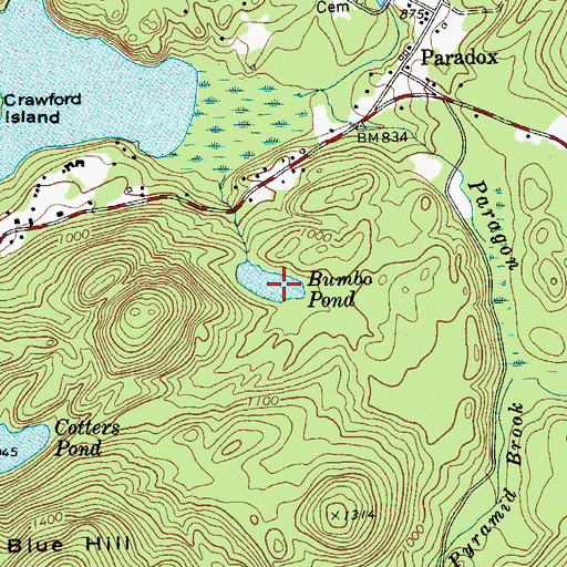 Topographic Map of Bumbo Pond, NY