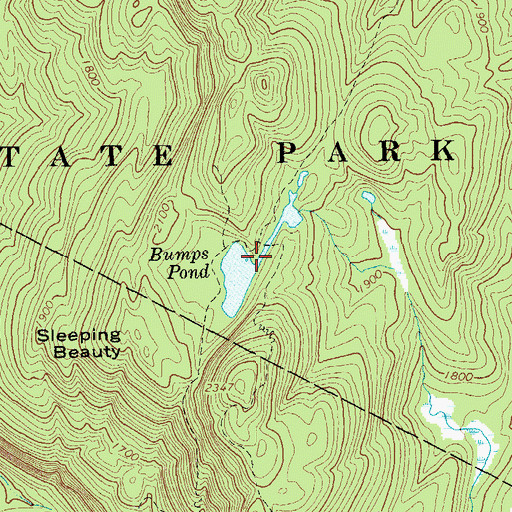 Topographic Map of Bumps Pond, NY