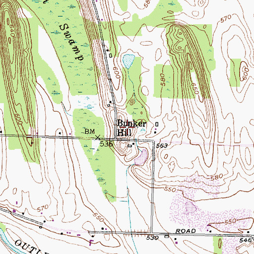 Topographic Map of Bunker Hill, NY