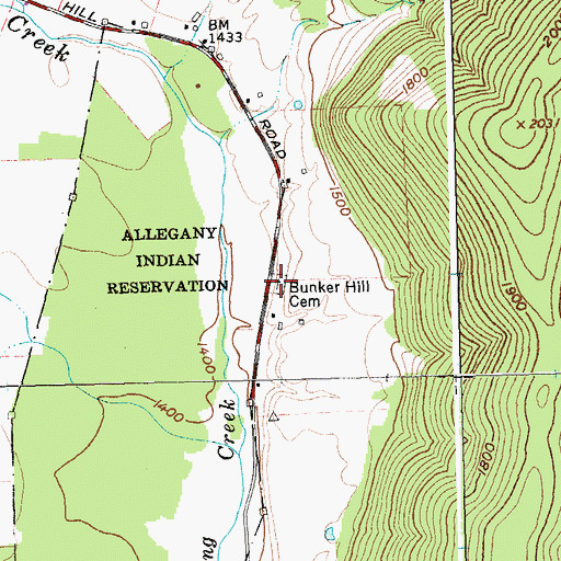 Topographic Map of Bunker Hill Cemetery, NY