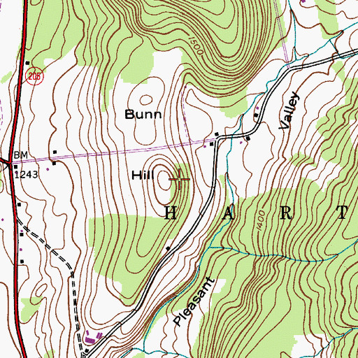 Topographic Map of Bunn Hill, NY