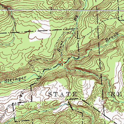 Topographic Map of Bunt Brook, NY