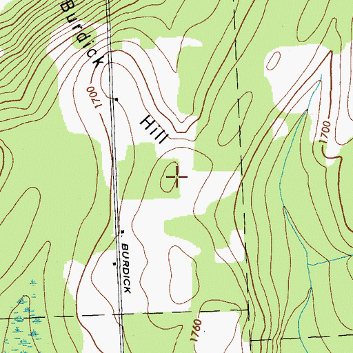 Topographic Map of Burdick Hill, NY
