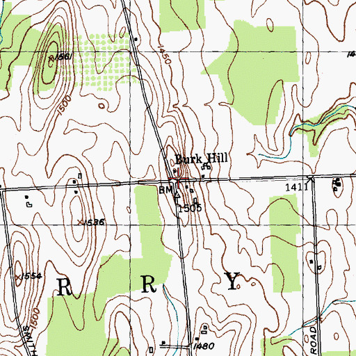 Topographic Map of Burk Hill, NY