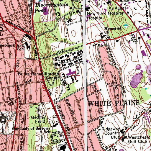 Topographic Map of Burke Rehabilitation Hospital, NY