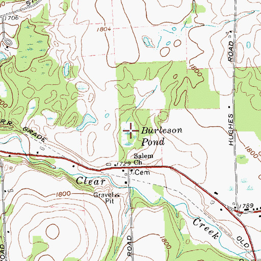 Topographic Map of Burleson Pond, NY