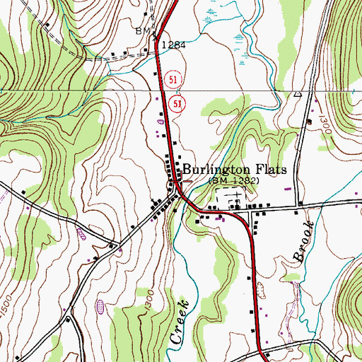 Topographic Map of Burlington Flats, NY