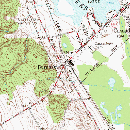 Topographic Map of Burnhams, NY