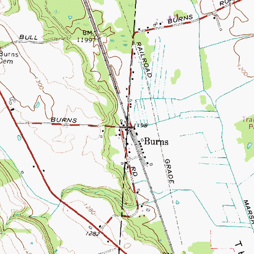 Topographic Map of Burns, NY