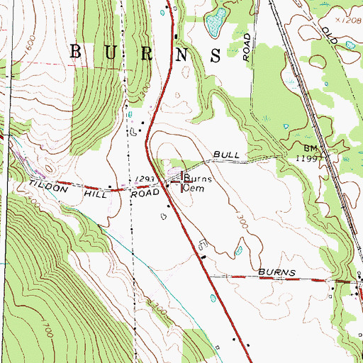 Topographic Map of Burns Cemetery, NY