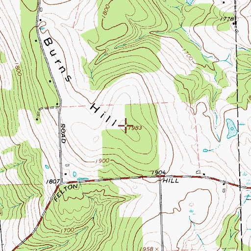 Topographic Map of Burns Hill, NY