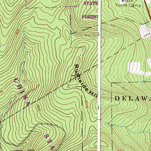 Topographic Map of Burnside Hill, NY