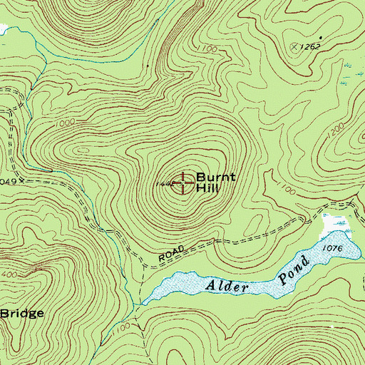 Topographic Map of Burnt Hill, NY