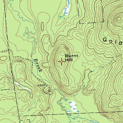 Topographic Map of Burnt Hill, NY