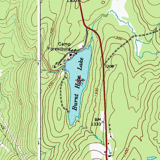 Topographic Map of Burnt Hope Lake, NY