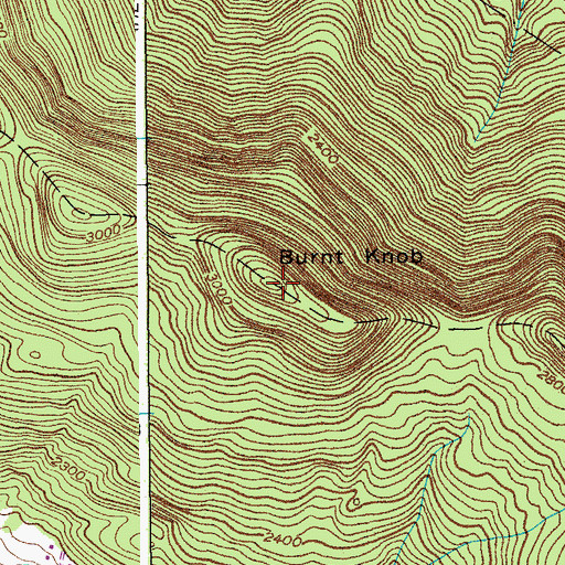 Topographic Map of Burnt Knob, NY