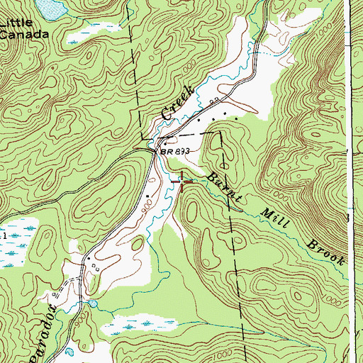 Topographic Map of Burnt Mill Brook, NY