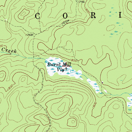 Topographic Map of Burnt Mill Vly, NY