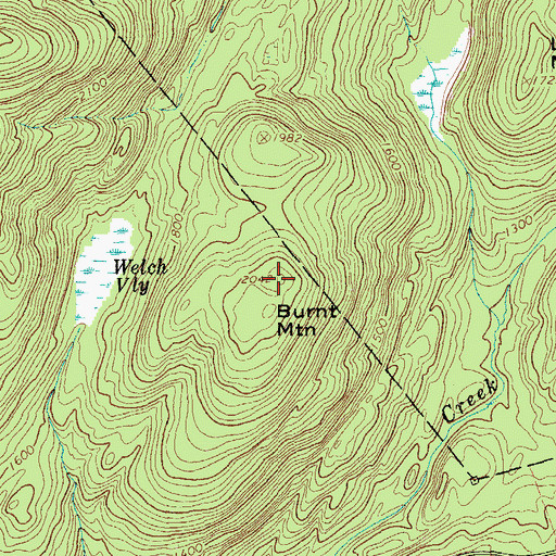 Topographic Map of Burnt Mountain, NY
