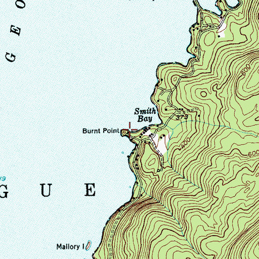 Topographic Map of Burnt Point, NY
