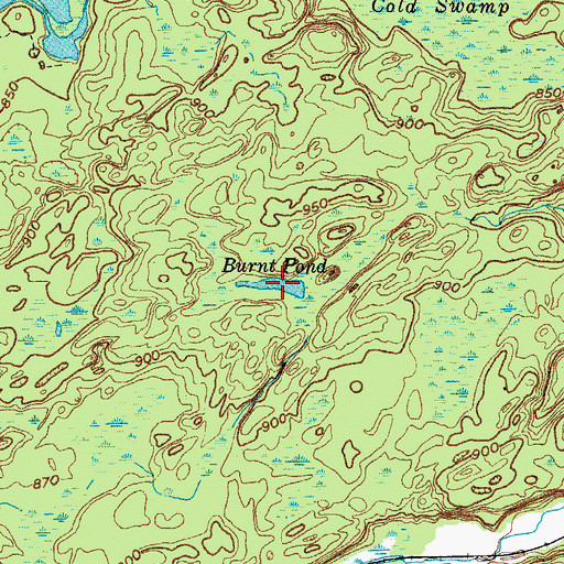 Topographic Map of Burnt Pond, NY