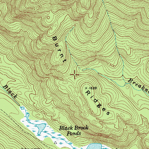 Topographic Map of Burnt Ridges, NY