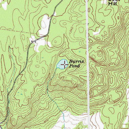 Topographic Map of Burris Pond, NY