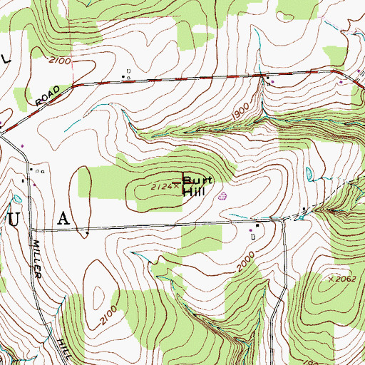 Topographic Map of Burt Hill, NY