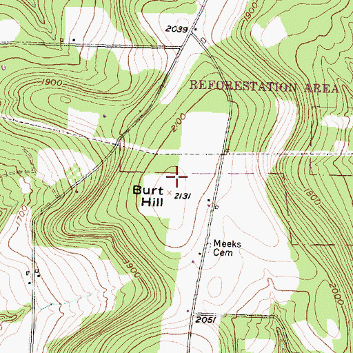 Topographic Map of Burt Hill, NY