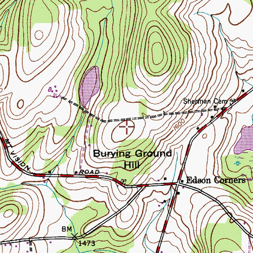 Topographic Map of Burying Ground Hill, NY
