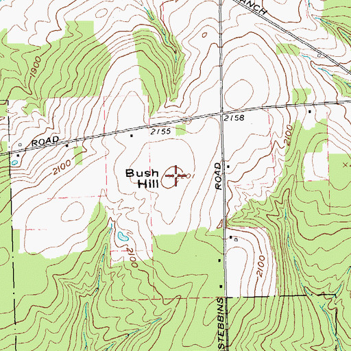 Topographic Map of Bush Hill, NY