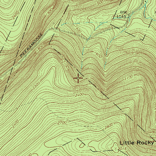 Topographic Map of Bush Kill, NY