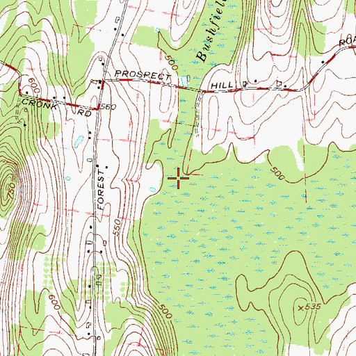Topographic Map of Bushfield Creek, NY