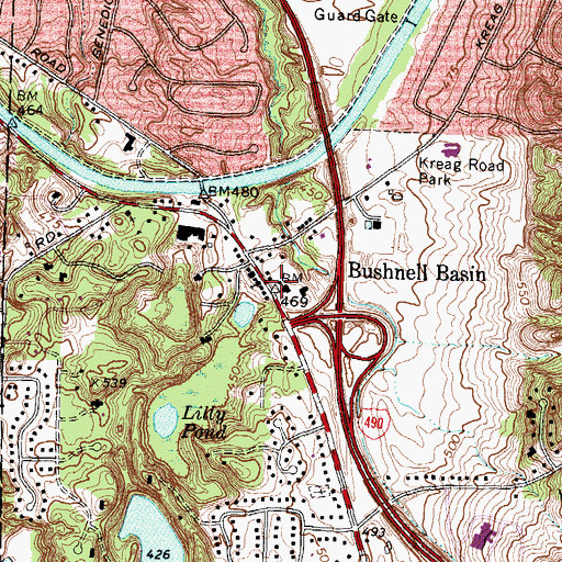 Topographic Map of Bushnell Basin, NY