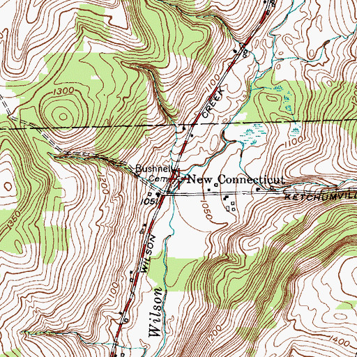 Topographic Map of Bushnell Cemetery, NY