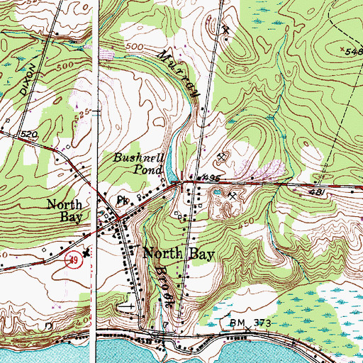 Topographic Map of Bushnell Pond, NY