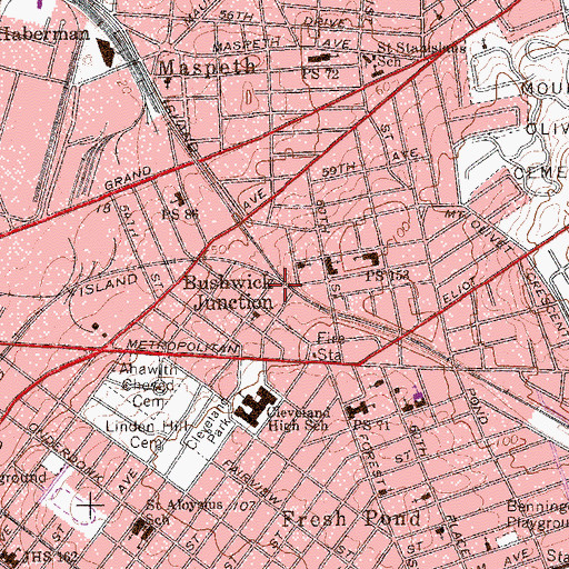 Topographic Map of Bushwick Junction, NY