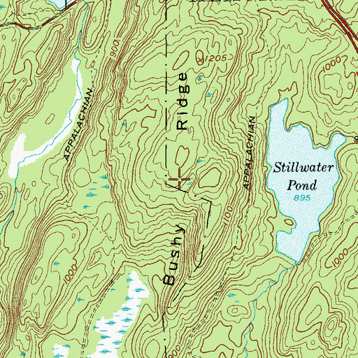 Topographic Map of Bushy Ridge, NY