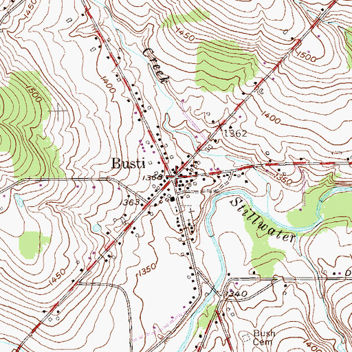 Topographic Map of Busti, NY