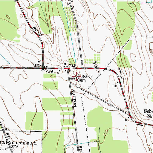 Topographic Map of Butcher Cemetery, NY