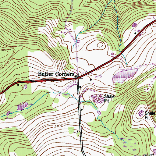 Topographic Map of Butler Corners, NY