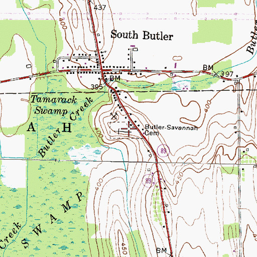Topographic Map of Butler - Savannah Cemetery, NY
