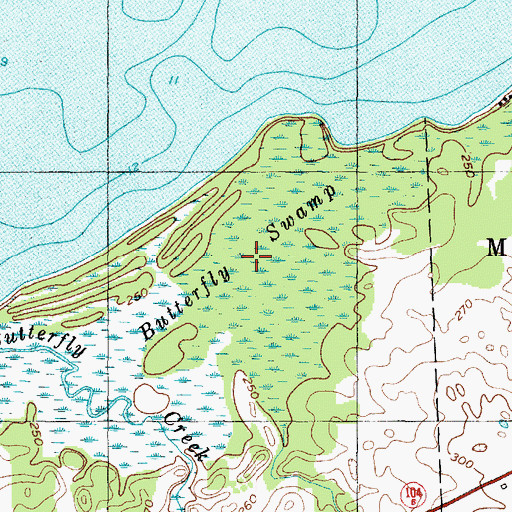 Topographic Map of Butterfly Swamp, NY
