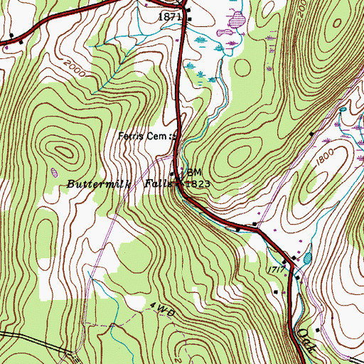 Topographic Map of Buttermilk Falls, NY